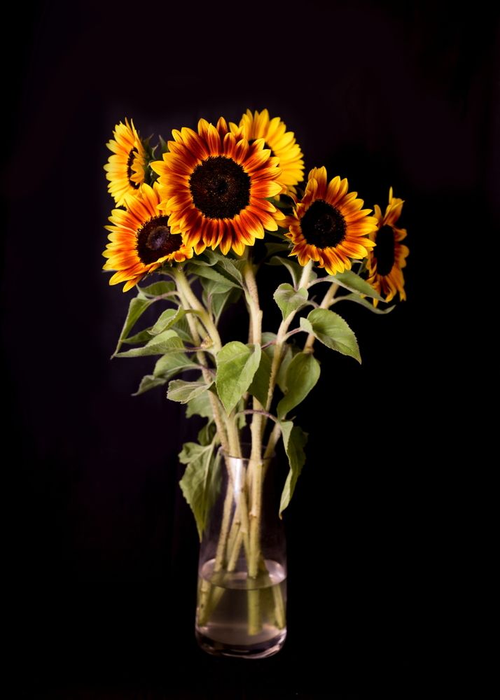 Photograph by Борис Лишневский