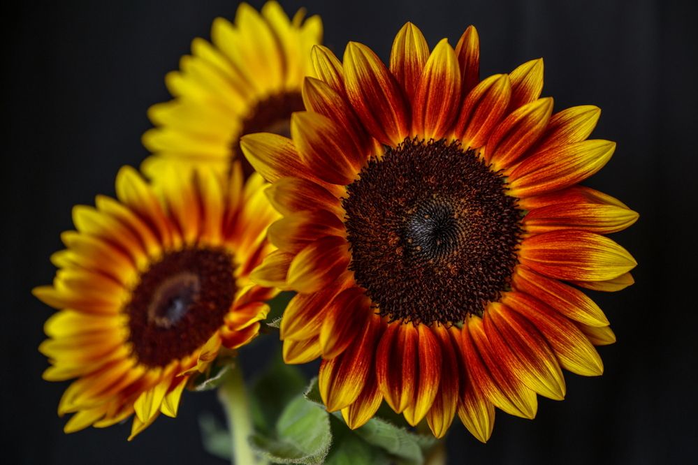 Photograph by Борис Лишневский