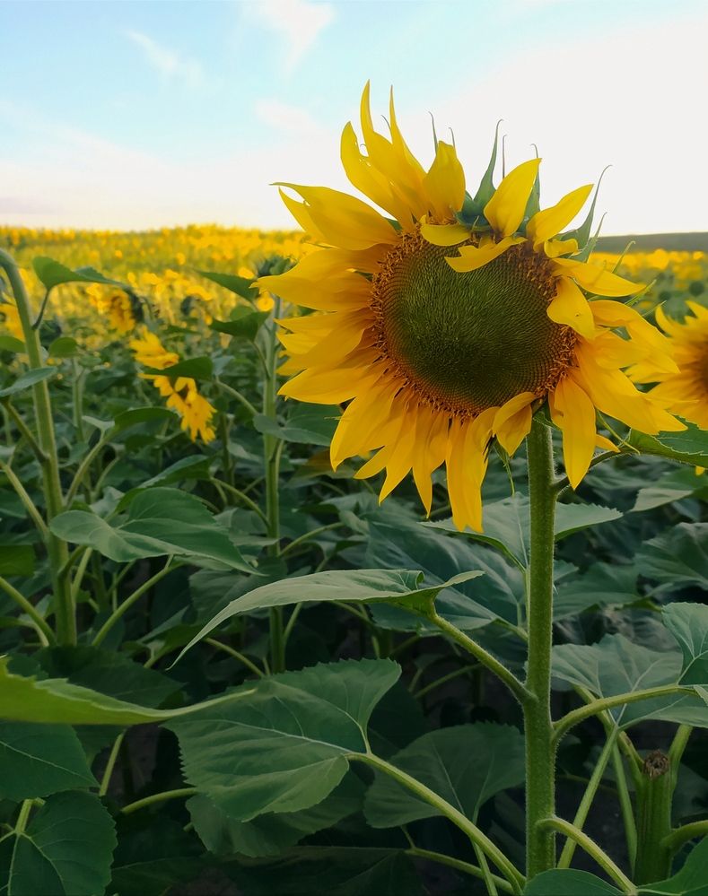 Photograph by Ekaterina Kazarez