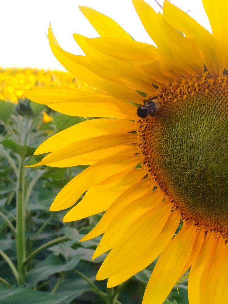 Photograph by Ekaterina Kazarez