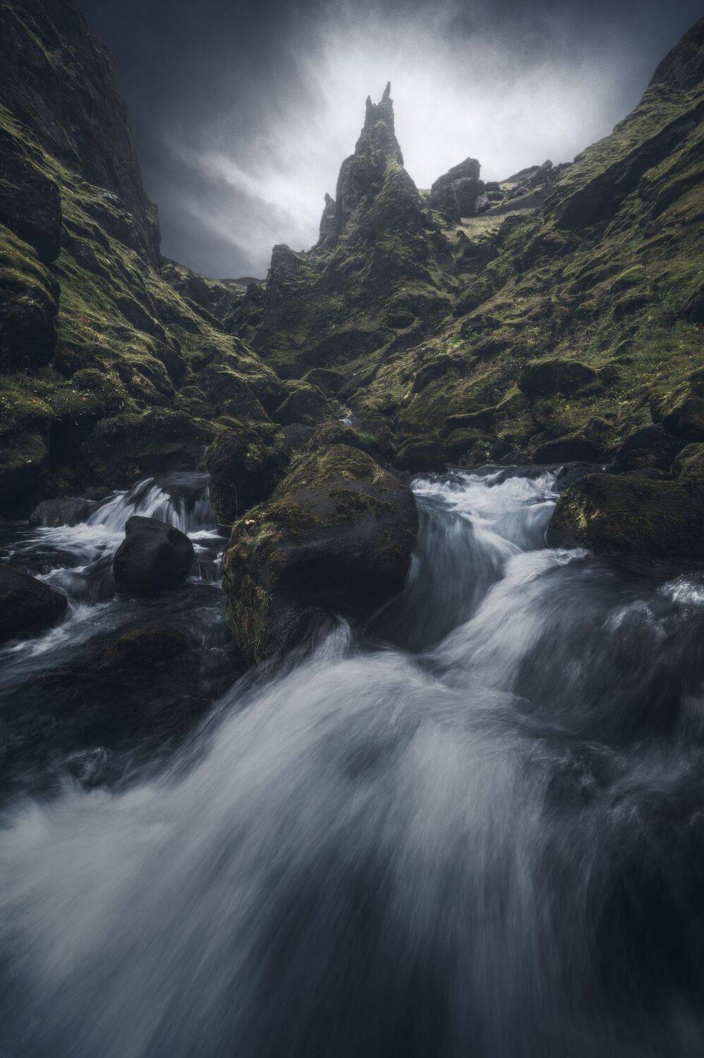 Majestic kingdom Majestic kingdom