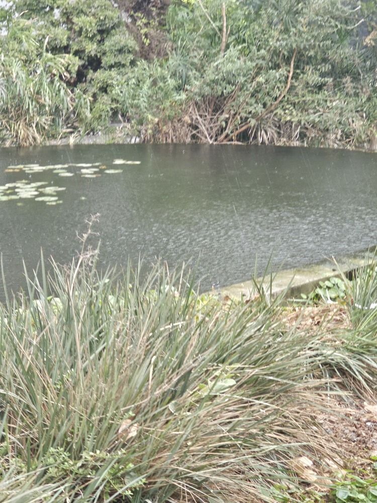 Фотография автора Oksana Podgorodetska