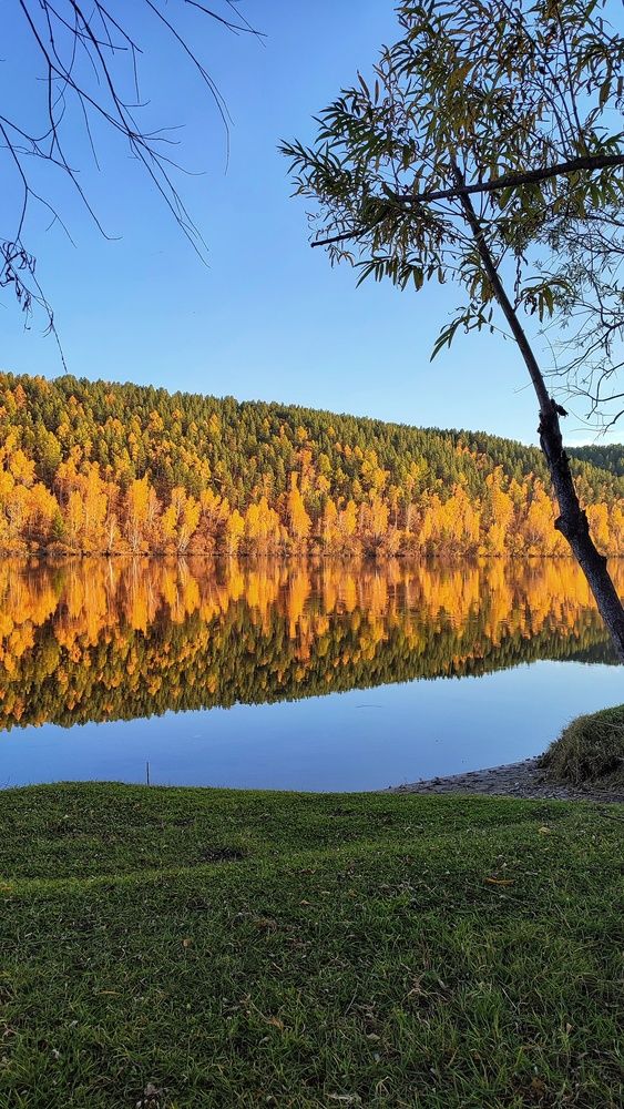 Краски осени