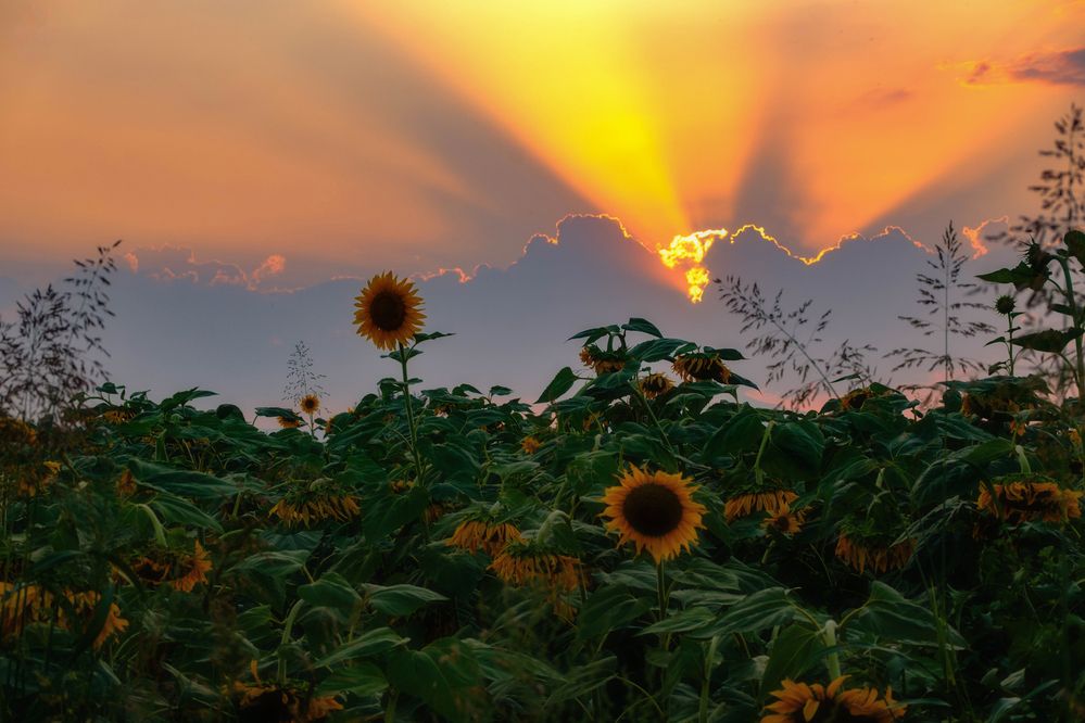 Photograph by Samvel Sargsyan