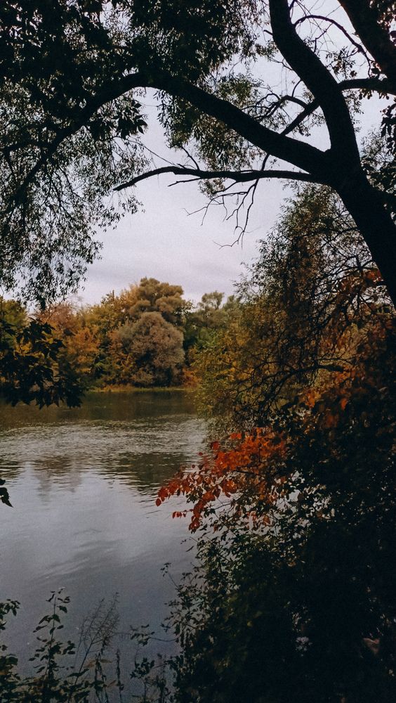 Photograph by Людмила Горячева