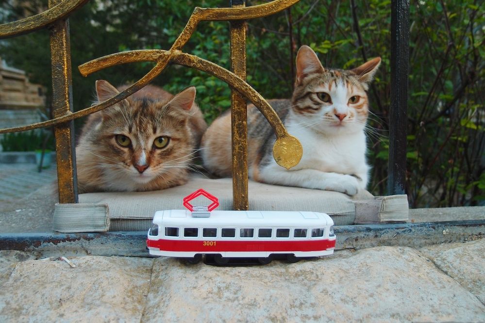 Photograph by Ксения Сёмина