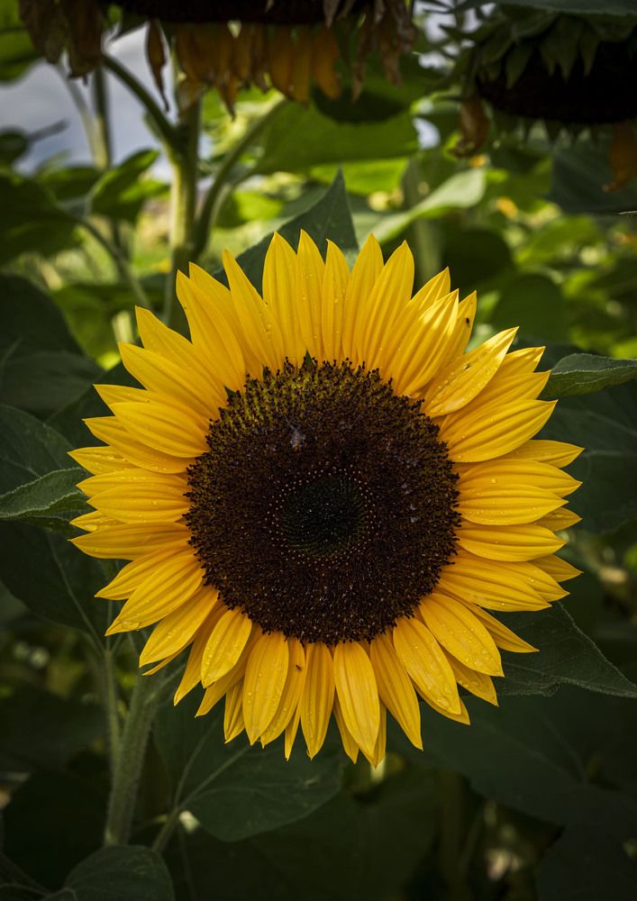 Photograph by Tomas Landa