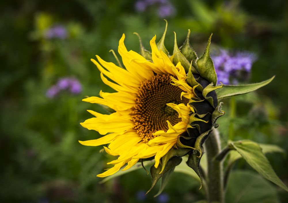 Photograph by Tomas Landa