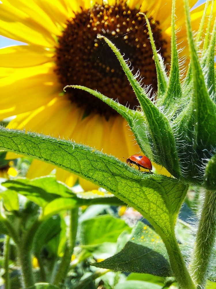 Photograph by Нина Паршина