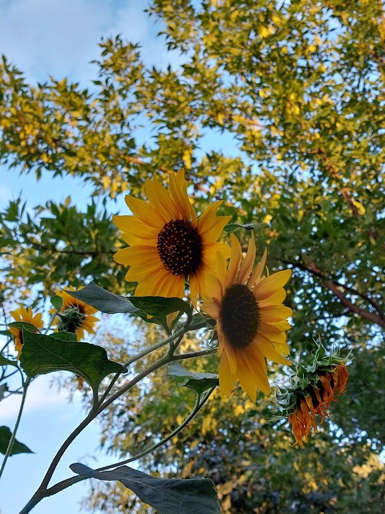 Photograph by Нина Паршина