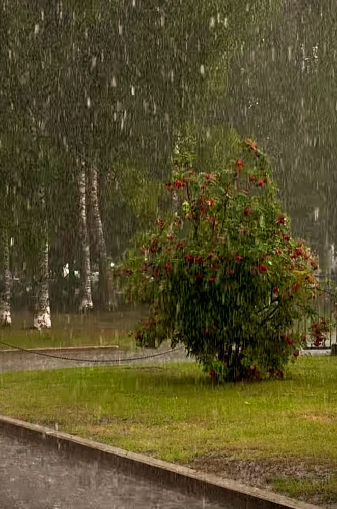 Photograph by Татьяна Смирнова