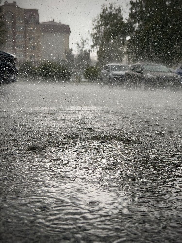 Photograph by Татьяна Смирнова