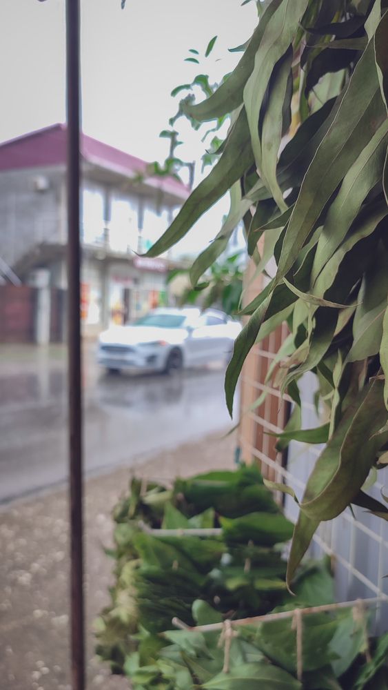 Фотография автора Анастасия Мамаева