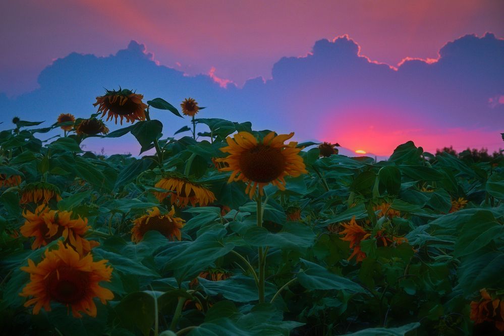 Photograph by Samvel Sargsyan