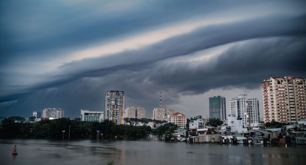 Фотография автора Anh Tri ( Fat Cat )