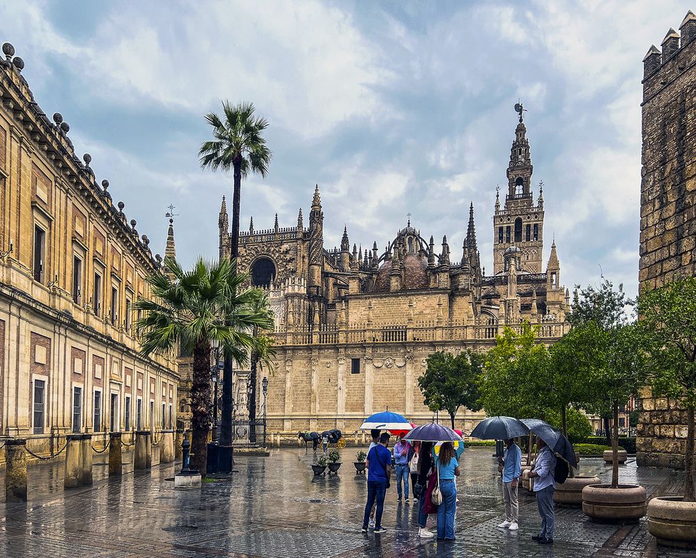 Севилья сегодня умывается