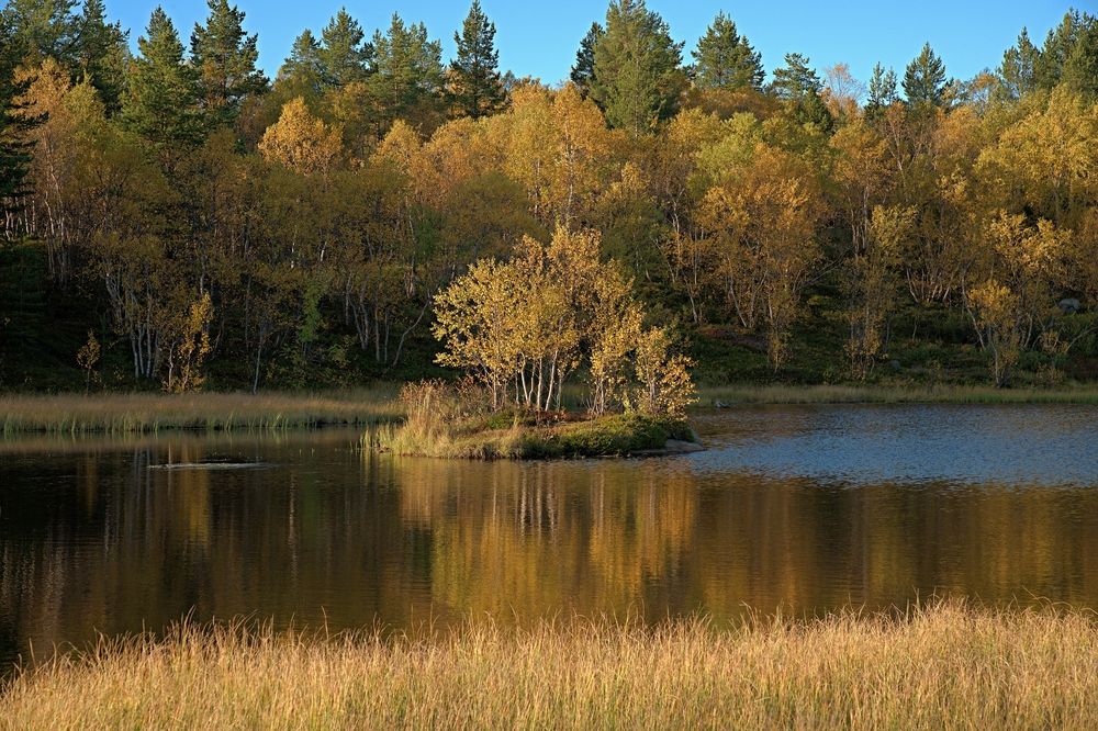 Photograph by Борис Чернов