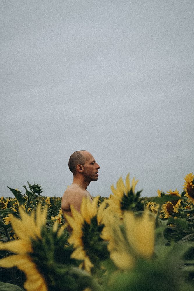 Фотография автора Ирина Романовская