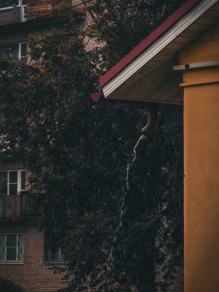 Фотография автора Наташа Данилова