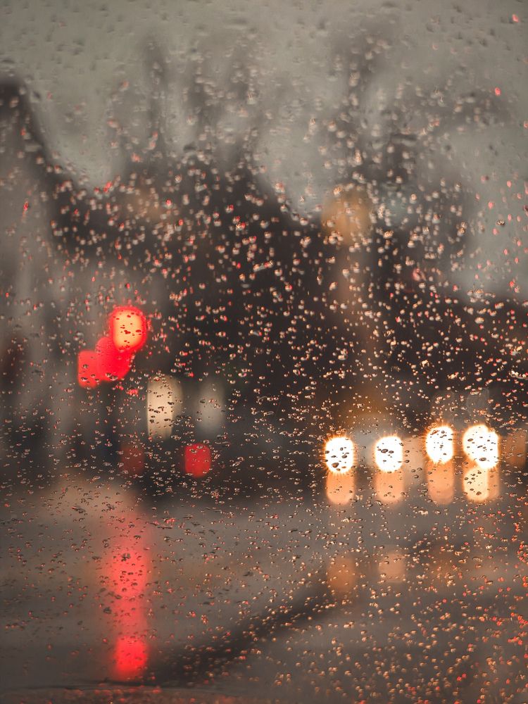 Фотография автора Наташа Данилова