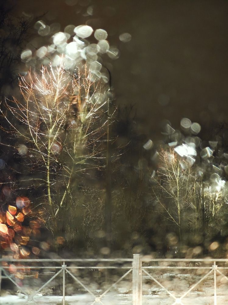 Фотография автора Наташа Данилова