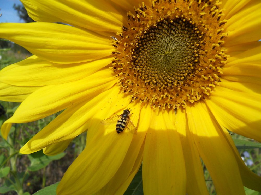 Photograph by Isabella Northrop