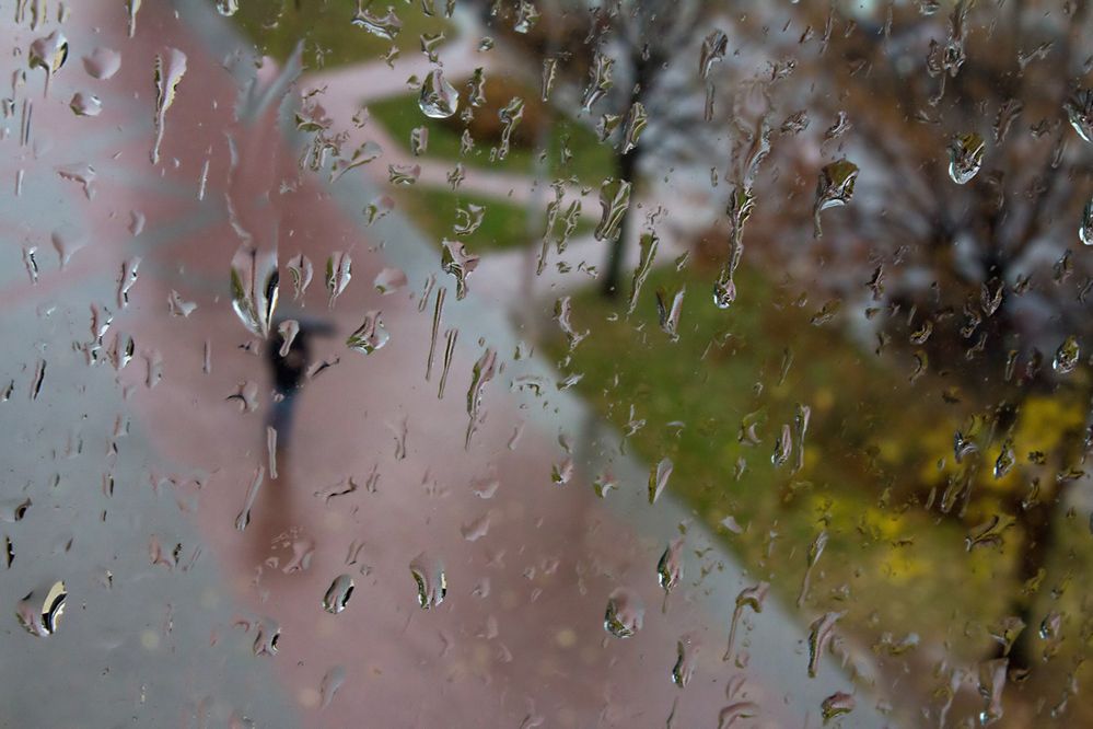 Фотография автора Борис Журавлёв