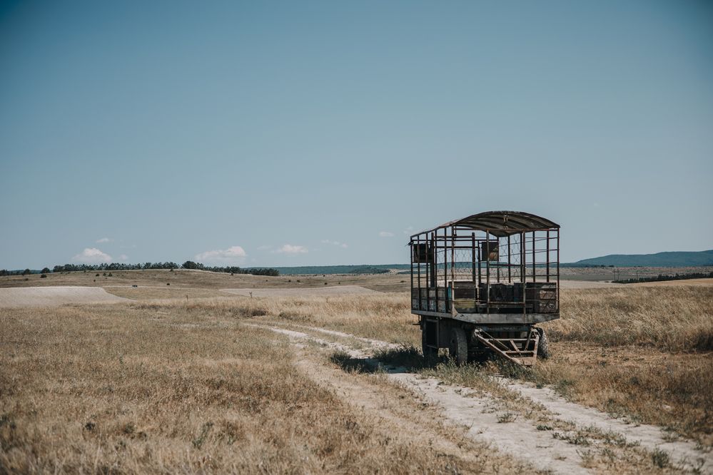Photograph by Терещенко Евгений