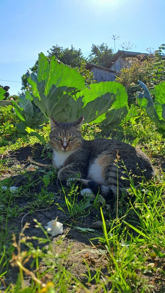 Photograph by Ирина Владимировна
