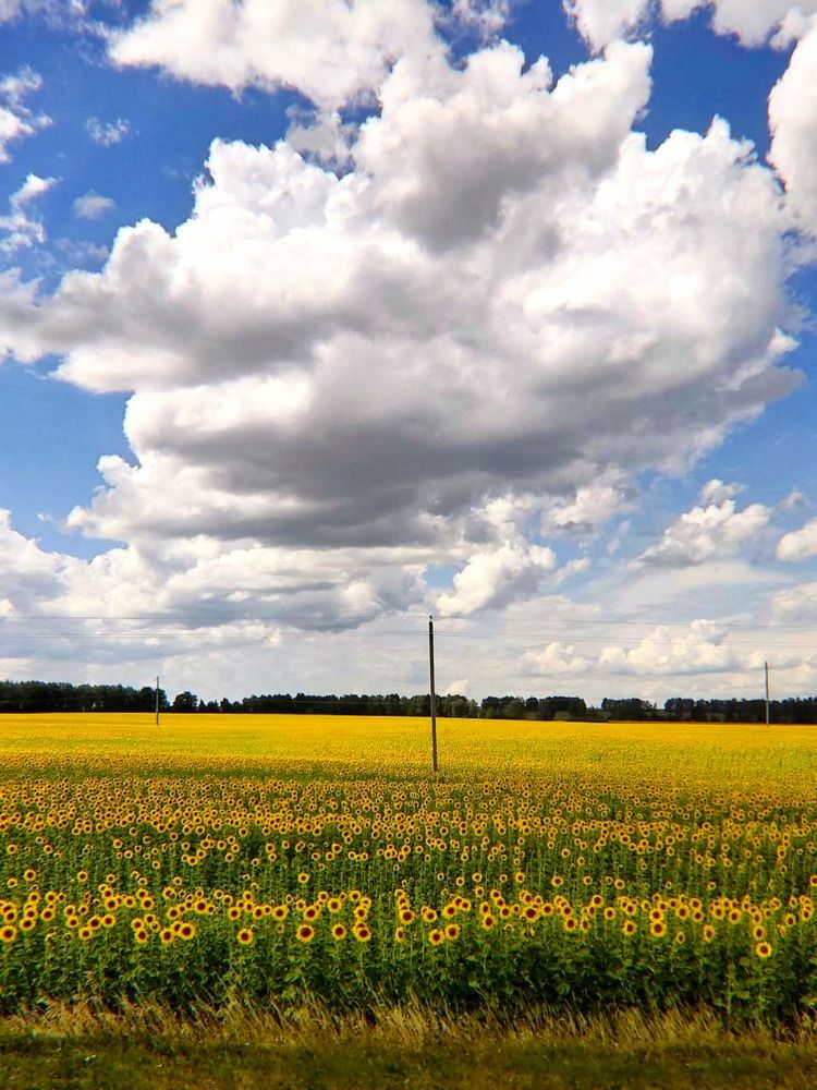 Photograph by Юлия Гусева