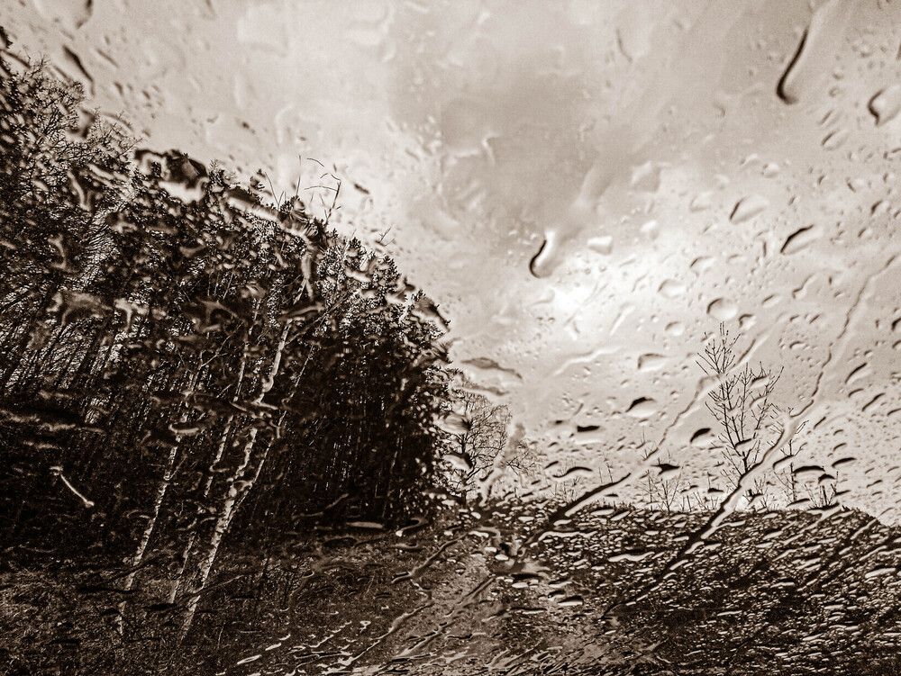 Photograph by Альберт Габбасов