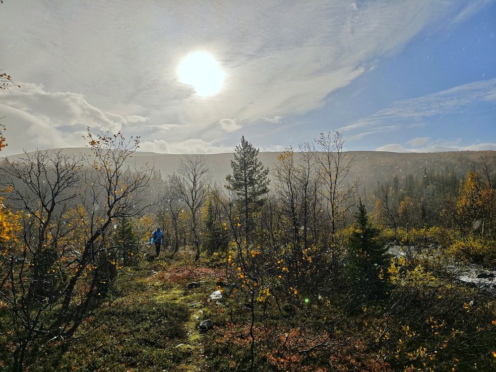 Photograph by Lev Kaufman