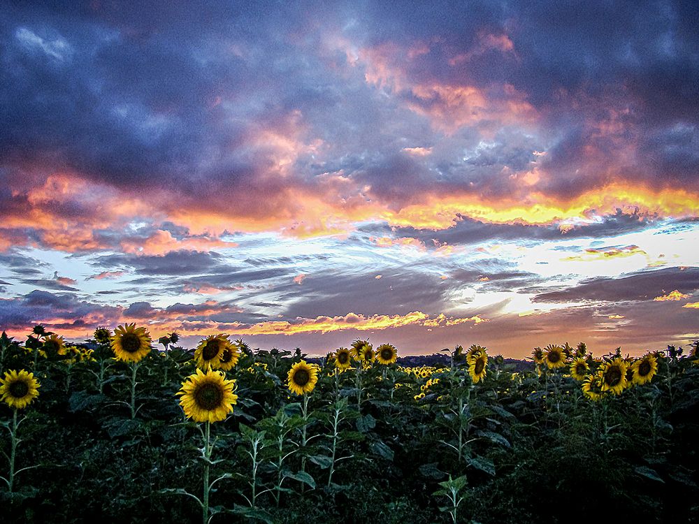 Фотография автора Rodolfo Pimentel