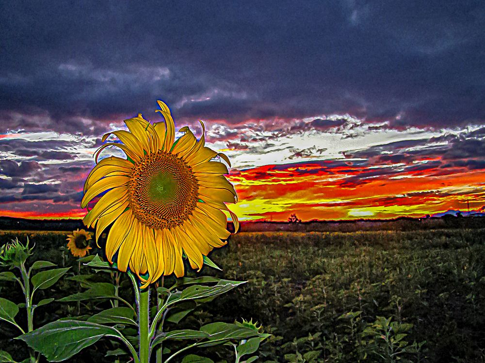 Фотография автора Rodolfo Pimentel