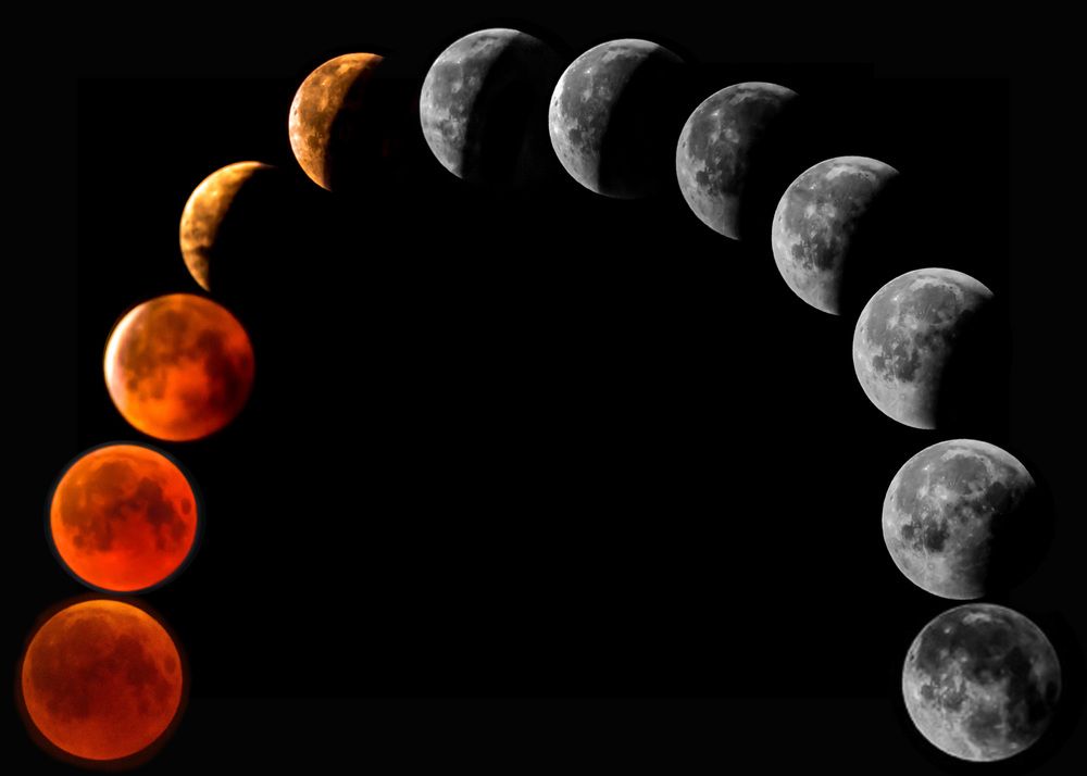 Photograph by Римма Волченко