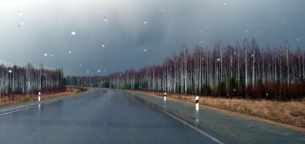 Photograph by Александр Бастраков