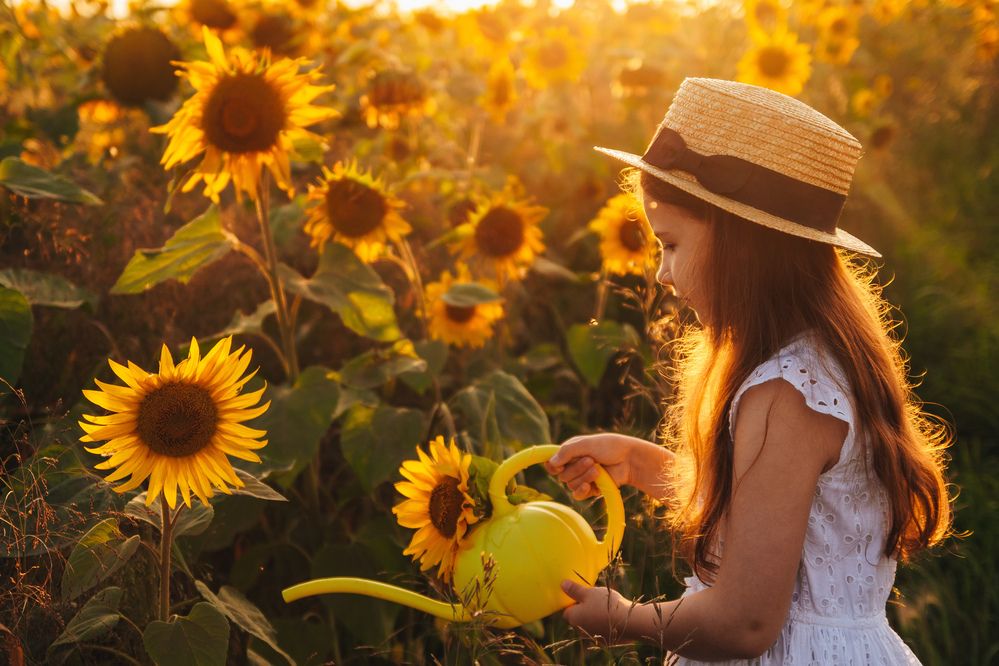 Photograph by Анна Салафутдинова