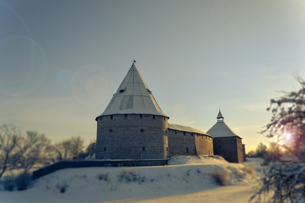 Photograph by Alex P