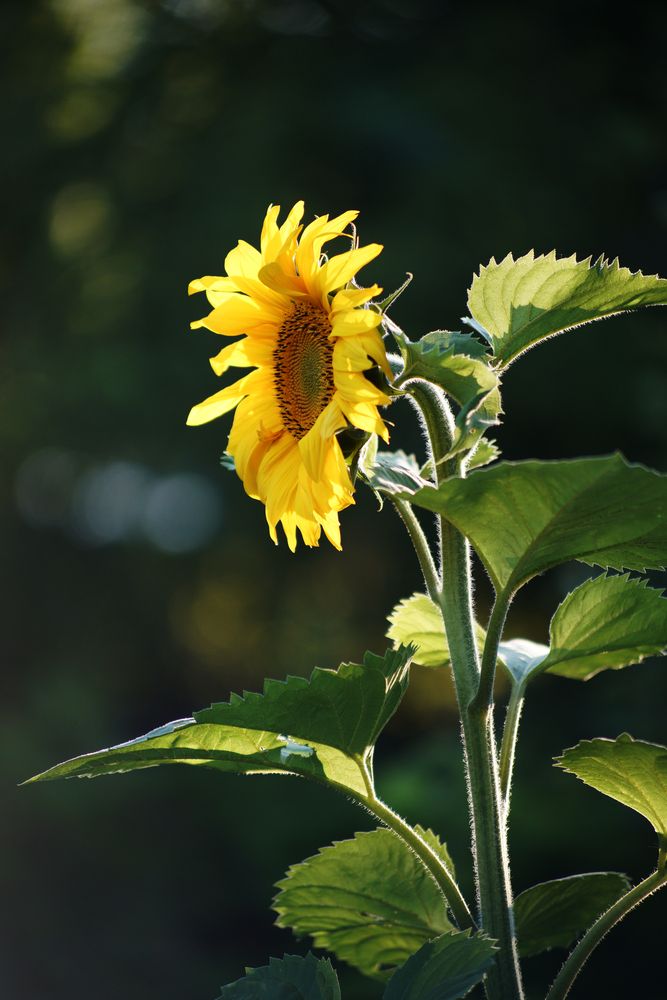 Photograph by Ольга Аристова