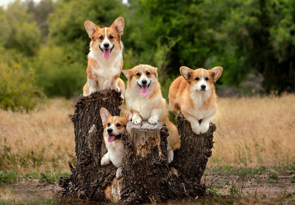 Photograph by Светлана Лукашкина