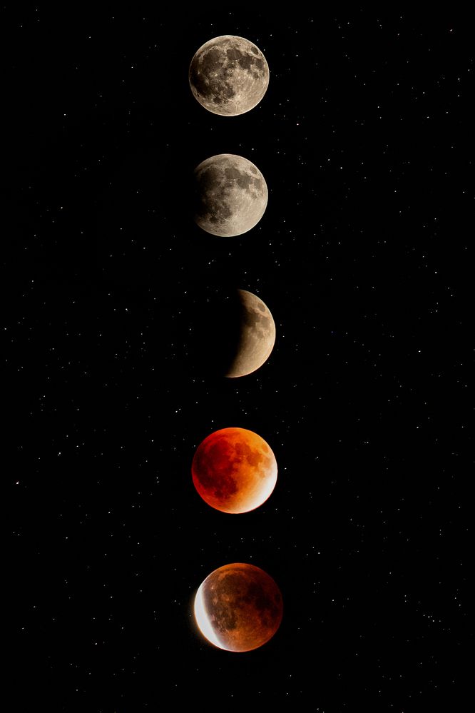 Photograph by Amir Negaresh