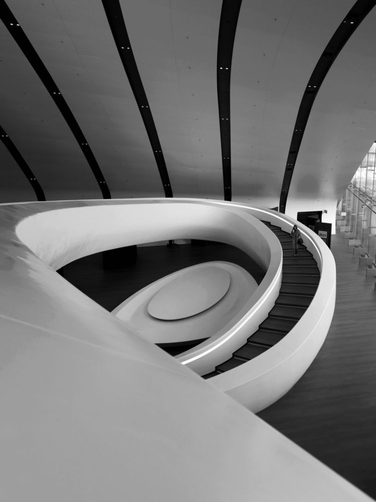 Улитка на склоне (snail on the slope)