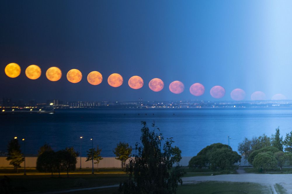 Фотография автора Ксения Зайцева