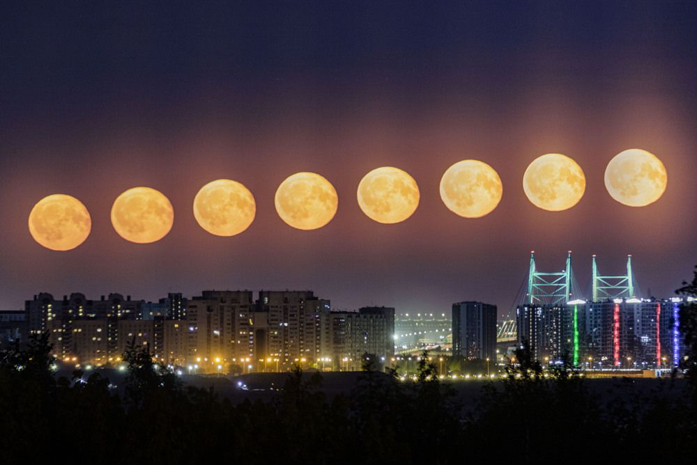 Photograph by Ксения Зайцева