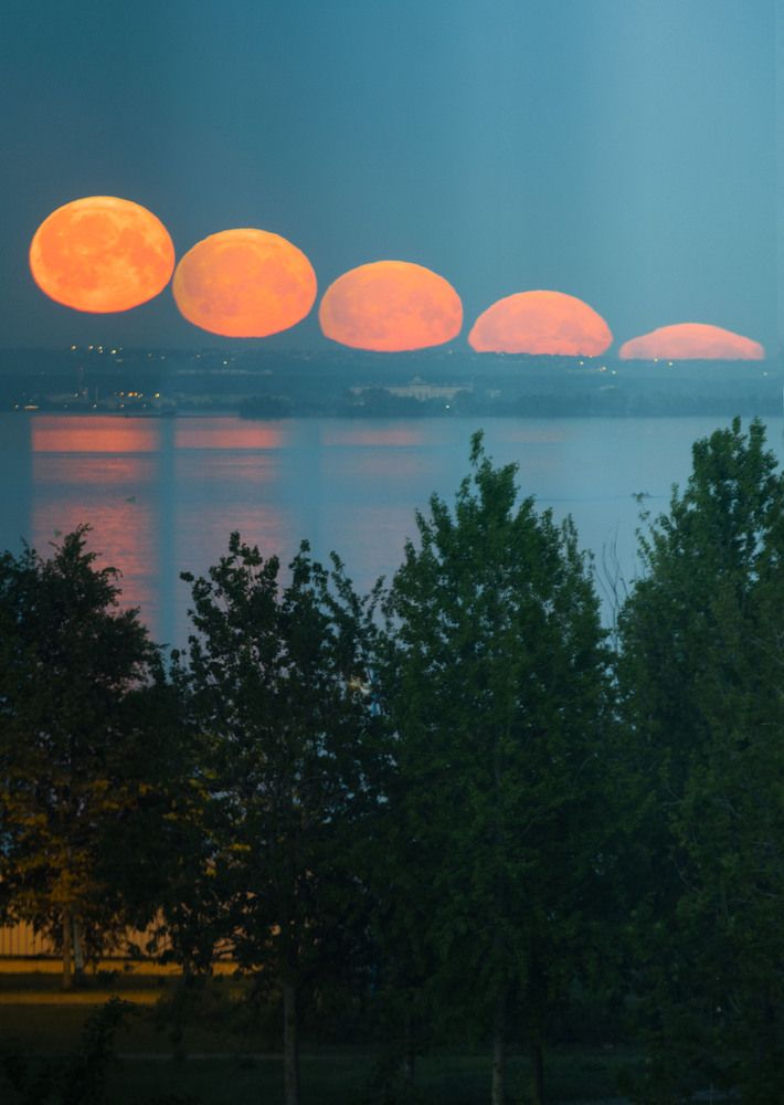 Фотография автора Ксения Зайцева