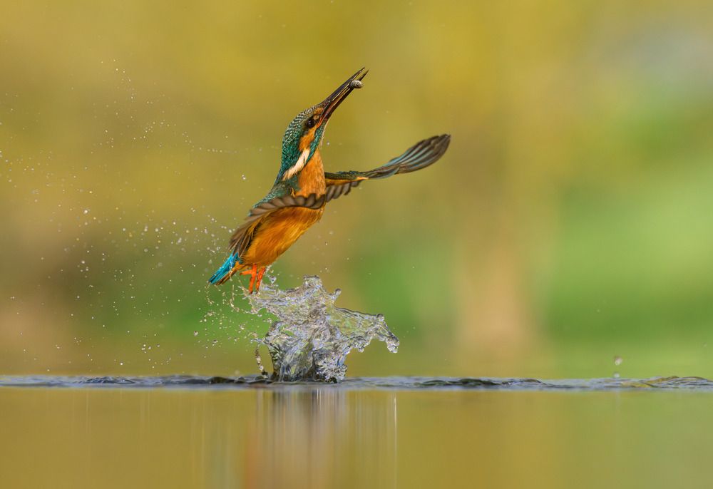 Photograph by Tímea Ambrus