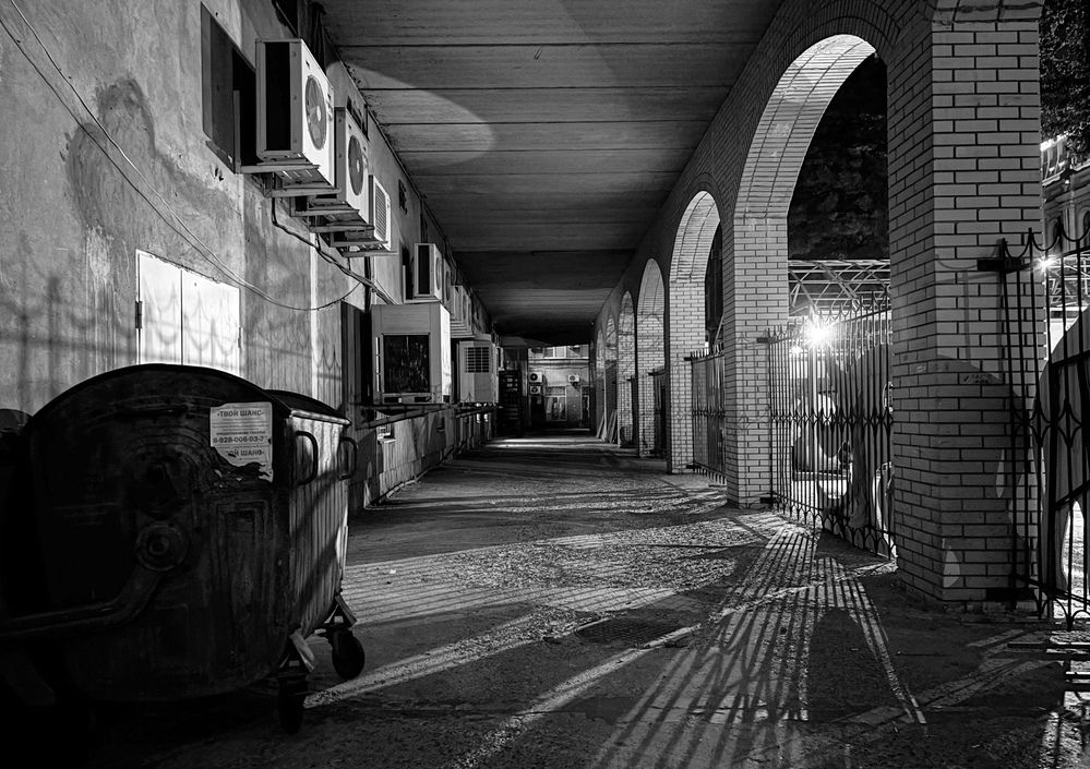 Photograph by Дарья Бражнева