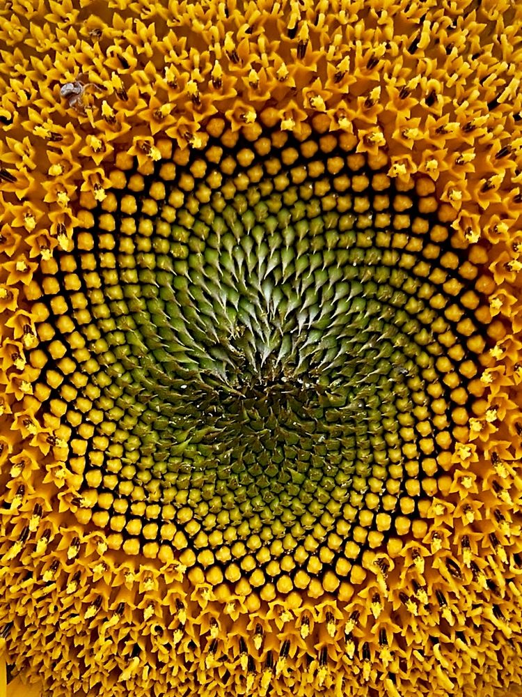 Photograph by Татьяна Пятернёва