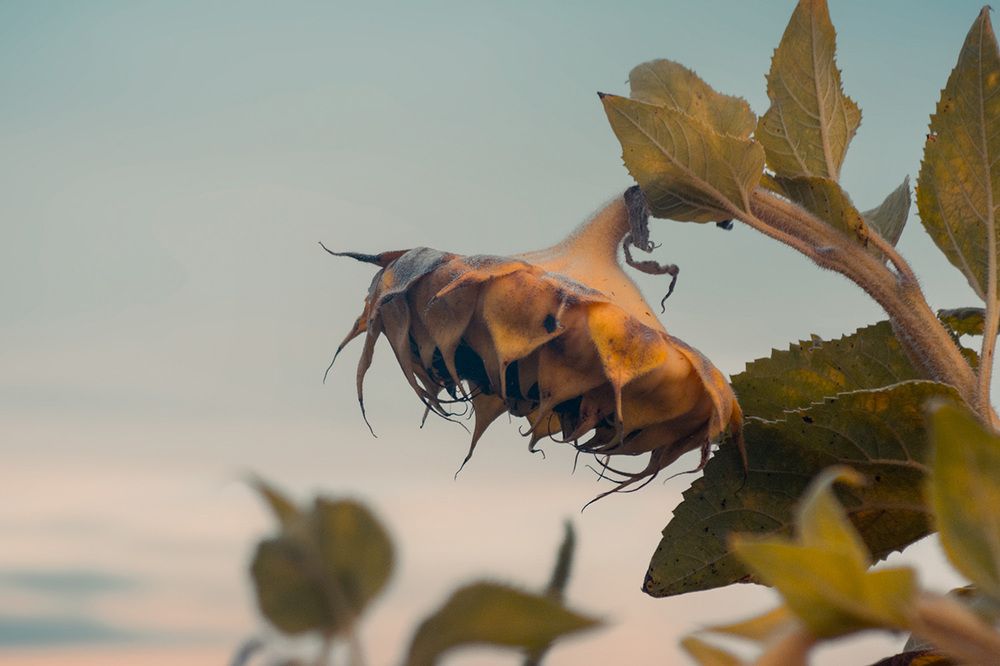 Photograph by Renee Johansson