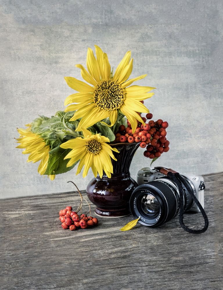 Фотография автора Е лена Е